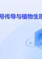 植物的信号传导与植物生理.pptx