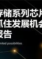 固态存储系列芯片行业如何抓住发展机会策略研究报告.pptx