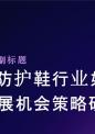 安全防护鞋行业如何抓住发展机会策略研究报告.pptx