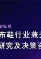 松紧布鞋行业兼并重组机会研究及决策咨询报告.pptx