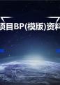 项目BP(模版)资料.ppt