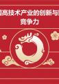 中国高技术产业的创新与国际竞争力.pptx