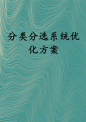 分类分选系统优化方案.docx